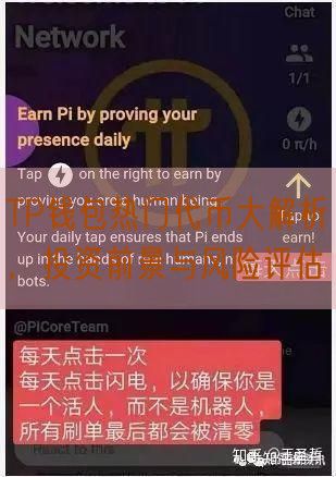 TP钱包热门代币大解析，投资前景与风险评估