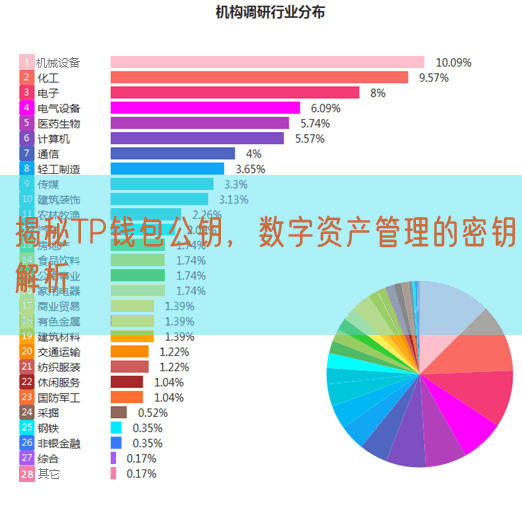 揭秘TP钱包公钥，数字资产管理的密钥解析