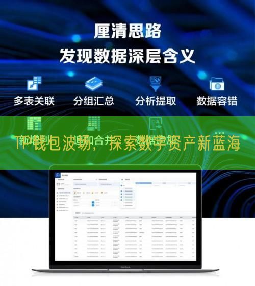 TP钱包波场，探索数字资产新蓝海