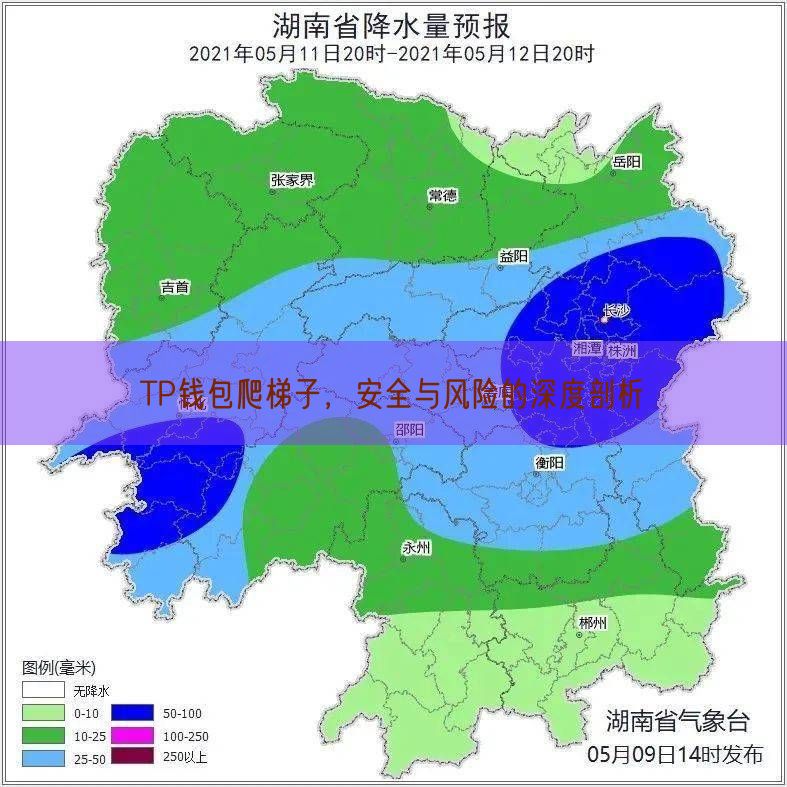 TP钱包爬梯子，安全与风险的深度剖析