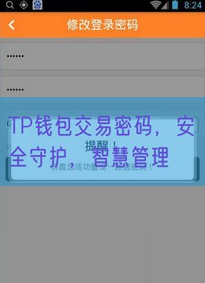 TP钱包交易密码，安全守护，智慧管理