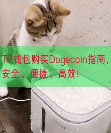 TP钱包购买Dogecoin指南，安全、便捷、高效！