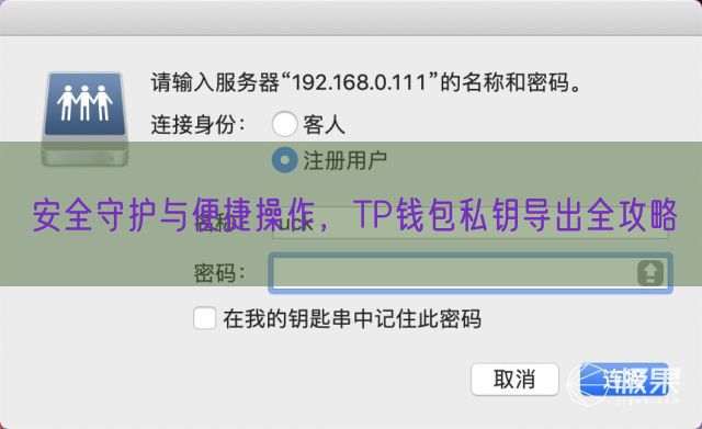 安全守护与便捷操作，TP钱包私钥导出全攻略