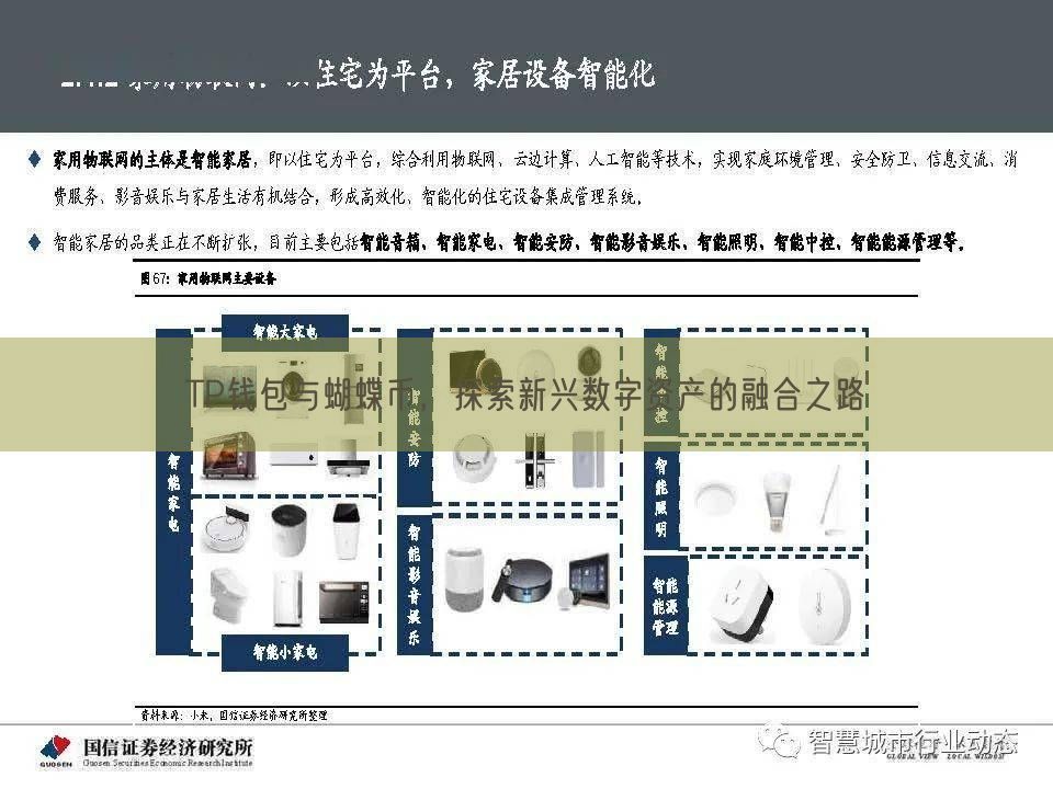 TP钱包与蝴蝶币，探索新兴数字资产的融合之路