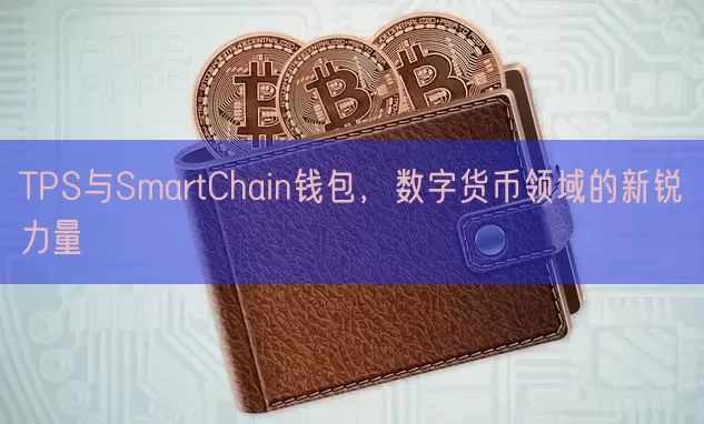 TPS与SmartChain钱包，数字货币领域的新锐力量