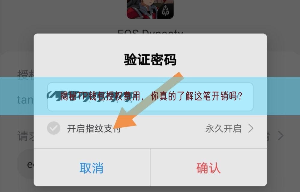 揭秘TP钱包授权费用，你真的了解这笔开销吗？