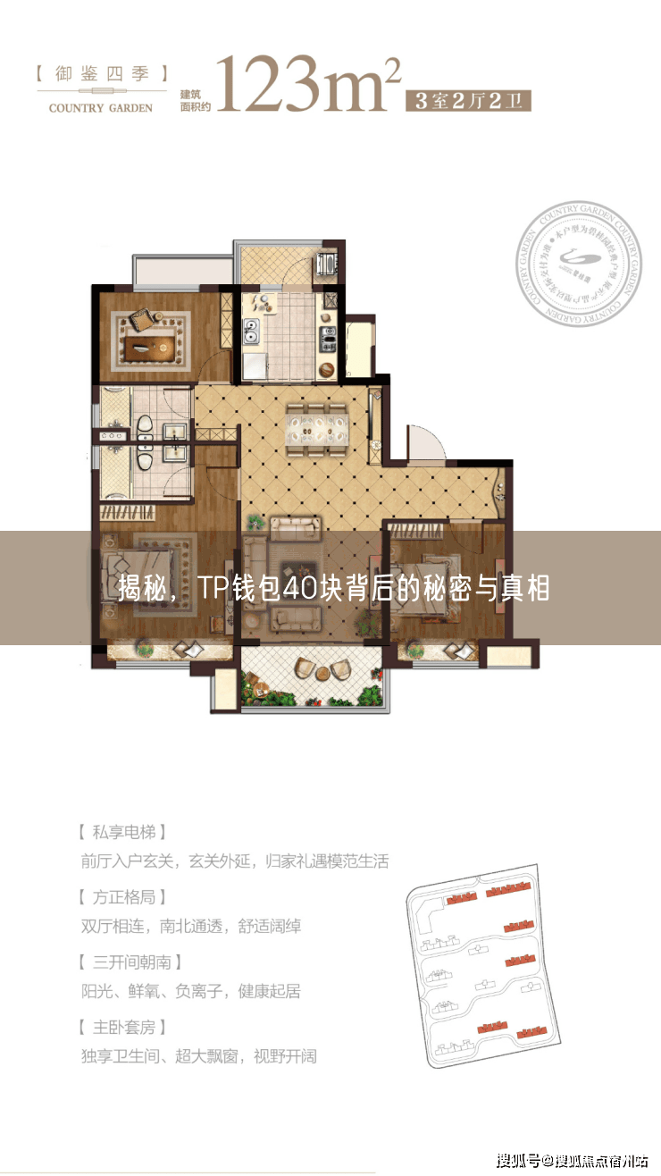 揭秘，TP钱包40块背后的秘密与真相