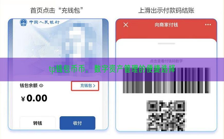 tp钱包币币，数字资产管理的便捷选择