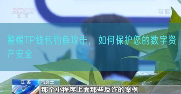 警惕TP钱包钓鱼攻击，如何保护您的数字资产安全