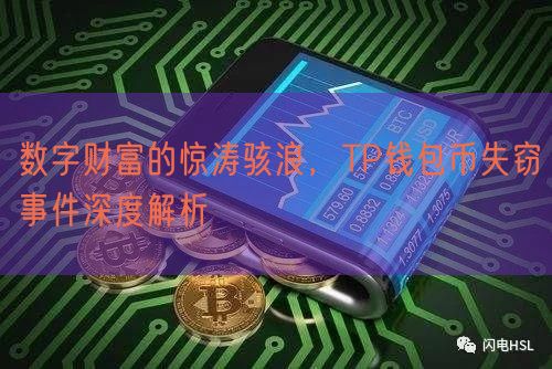 数字财富的惊涛骇浪，TP钱包币失窃事件深度解析