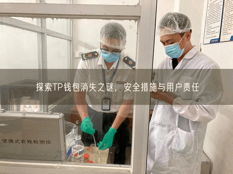 探索TP钱包消失之谜，安全措施与用户责任