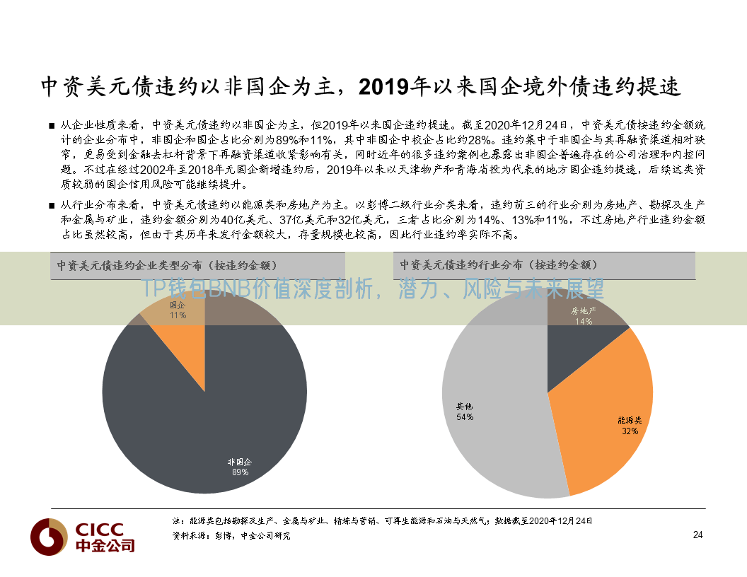 TP钱包BNB价值深度剖析，潜力、风险与未来展望