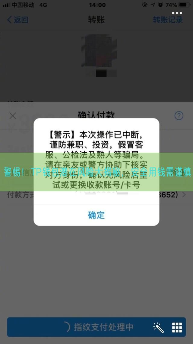 警惕！TP钱包潜在风险大揭秘，安全用钱需谨慎