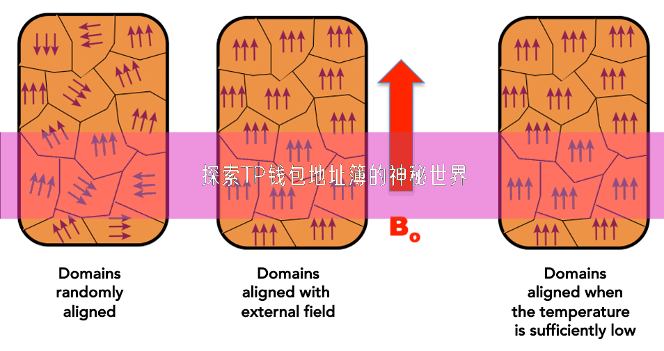 探索TP钱包地址簿的神秘世界