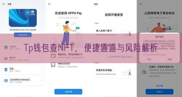 Tp钱包查NFT，便捷通道与风险解析