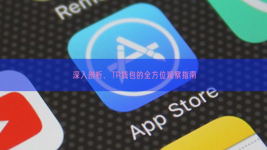  深入剖析，TP钱包的全方位观察指南