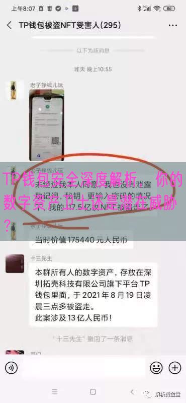 TP钱包安全深度解析，你的数字资产卫士还是潜在威胁？