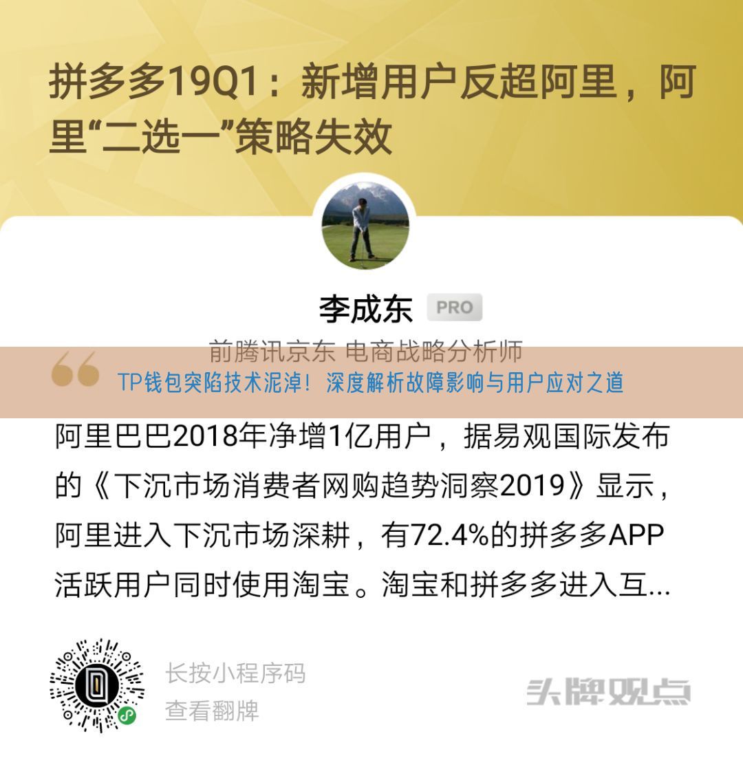 TP钱包突陷技术泥淖！深度解析故障影响与用户应对之道