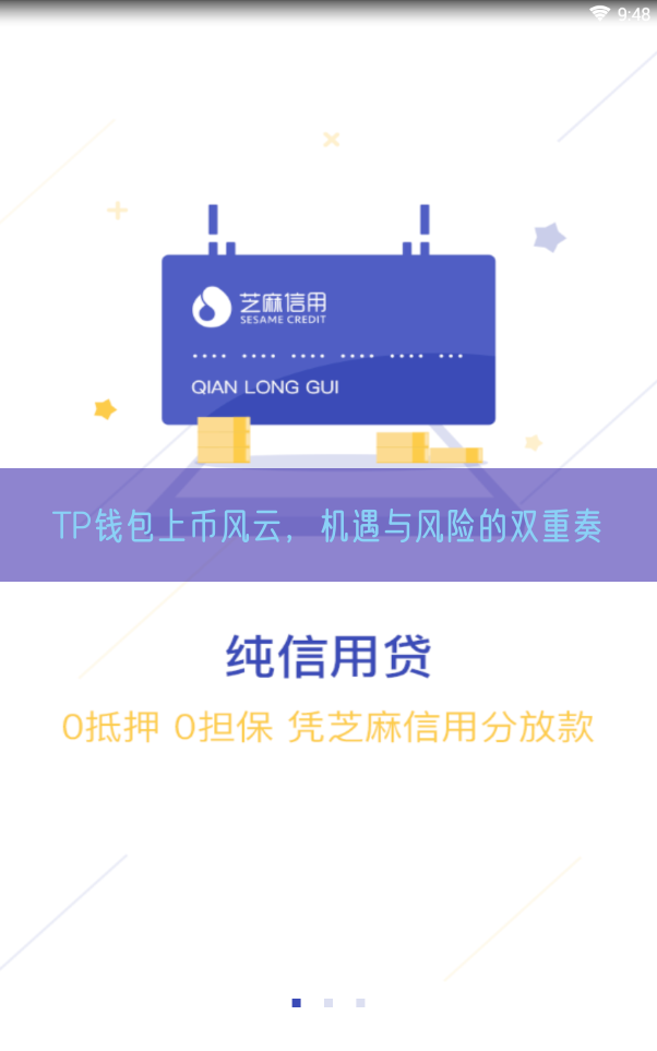 TP钱包上币风云，机遇与风险的双重奏