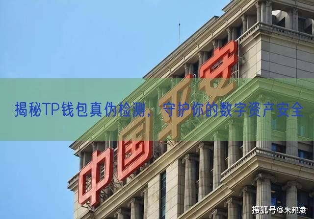 揭秘TP钱包真伪检测，守护你的数字资产安全