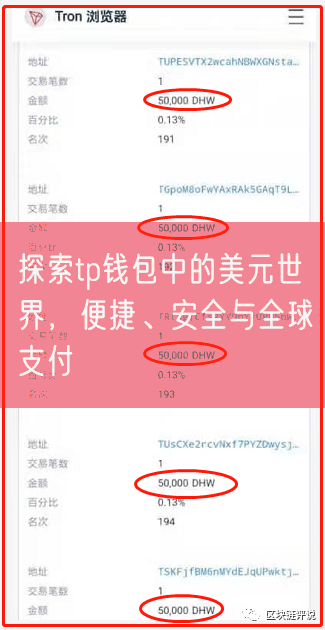 探索tp钱包中的美元世界，便捷、安全与全球支付