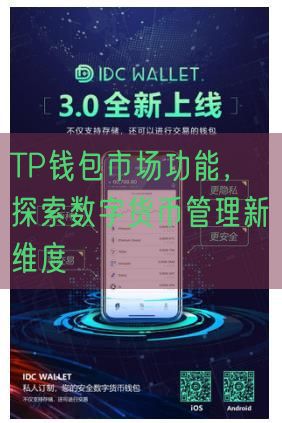 TP钱包市场功能，探索数字货币管理新维度