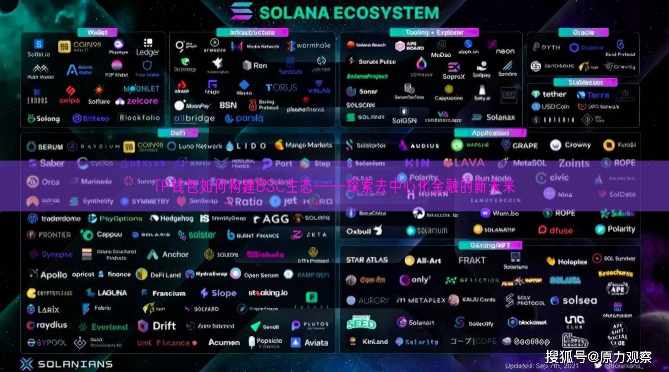 TP钱包如何构建BSC生态——探索去中心化金融的新未来