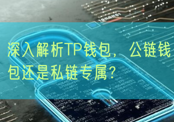 深入解析TP钱包，公链钱包还是私链专属？