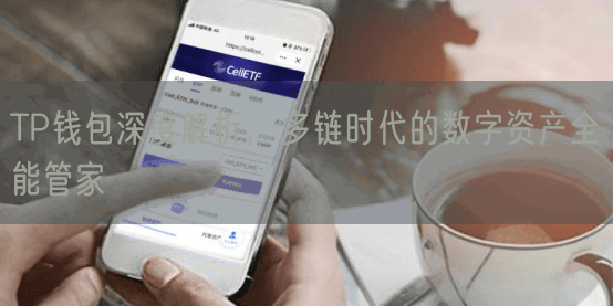 TP钱包深度解析，多链时代的数字资产全能管家