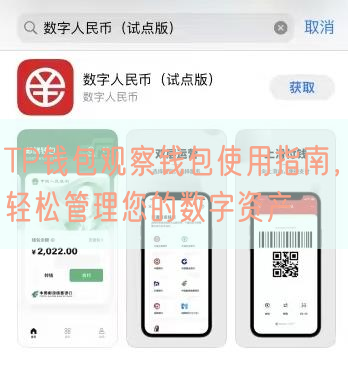 TP钱包观察钱包使用指南，轻松管理您的数字资产