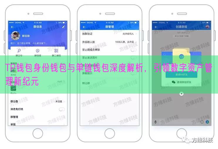 TP钱包身份钱包与单链钱包深度解析，引领数字资产管理新纪元