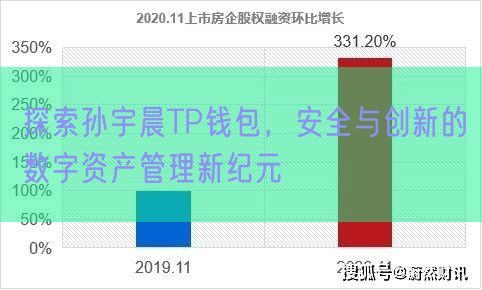 探索孙宇晨TP钱包，安全与创新的数字资产管理新纪元