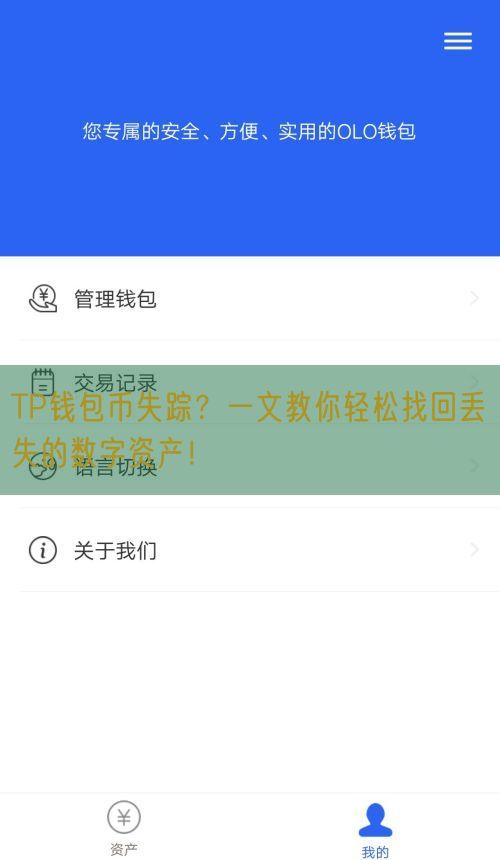 TP钱包币失踪？一文教你轻松找回丢失的数字资产！