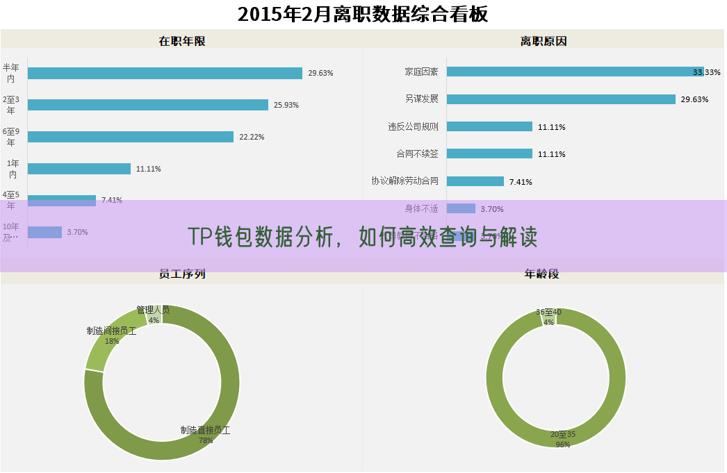 TP钱包数据分析，如何高效查询与解读