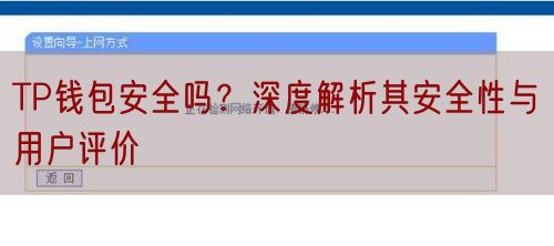 TP钱包安全吗？深度解析其安全性与用户评价