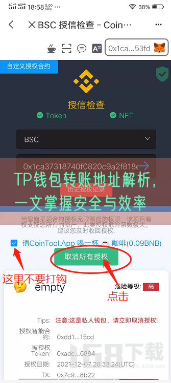 TP钱包转账地址解析，一文掌握安全与效率