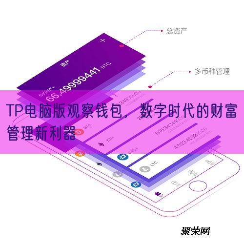 TP电脑版观察钱包，数字时代的财富管理新利器