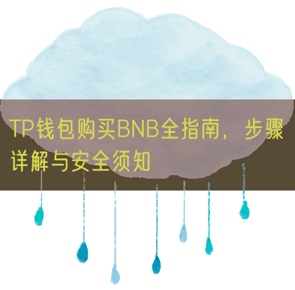 TP钱包购买BNB全指南，步骤详解与安全须知