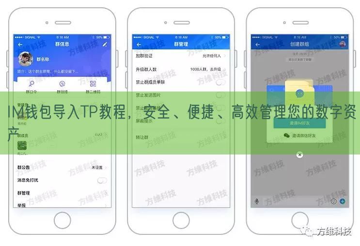 IM钱包导入TP教程，安全、便捷、高效管理您的数字资产