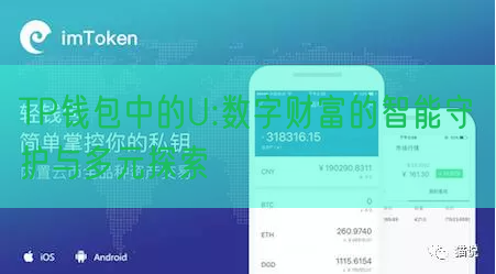 TP钱包中的U:数字财富的智能守护与多元探索