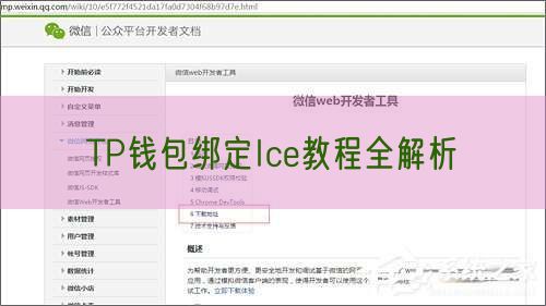 TP钱包绑定Ice教程全解析