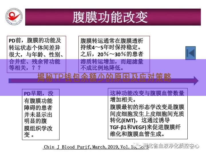 揭秘TP钱包余额少的原因及应对策略