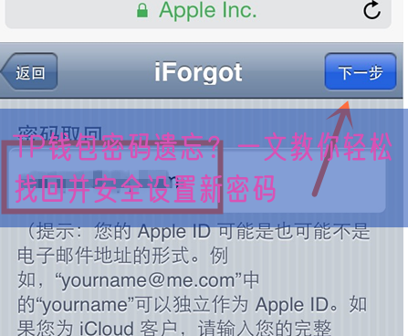 TP钱包密码遗忘？一文教你轻松找回并安全设置新密码
