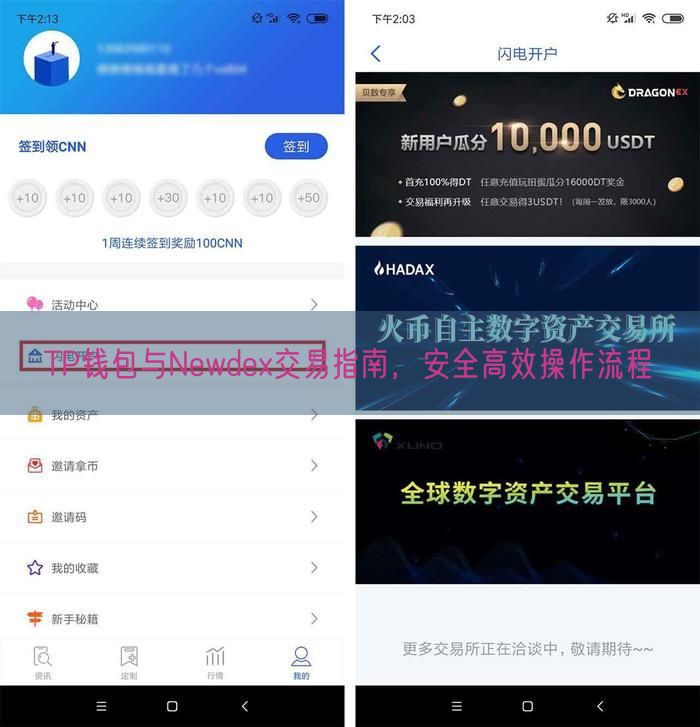 TP钱包与Newdex交易指南，安全高效操作流程