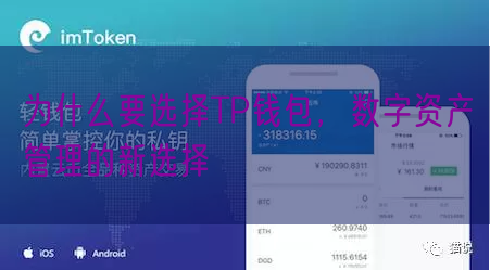 为什么要选择TP钱包，数字资产管理的新选择
