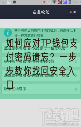 如何应对TP钱包支付密码遗忘？一步步教你找回安全入口