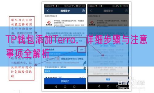 TP钱包添加Terra，详细步骤与注意事项全解析