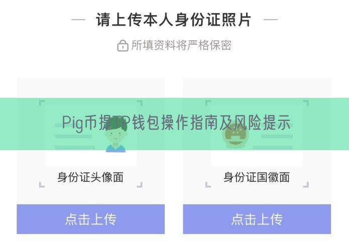 Pig币提TP钱包操作指南及风险提示