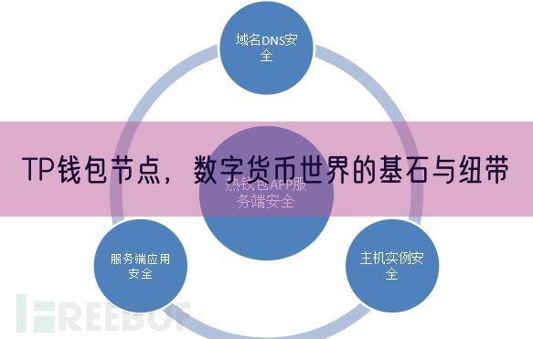 TP钱包节点，数字货币世界的基石与纽带