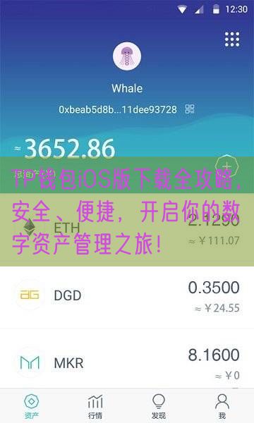 TP钱包iOS版下载全攻略，安全、便捷，开启你的数字资产管理之旅！